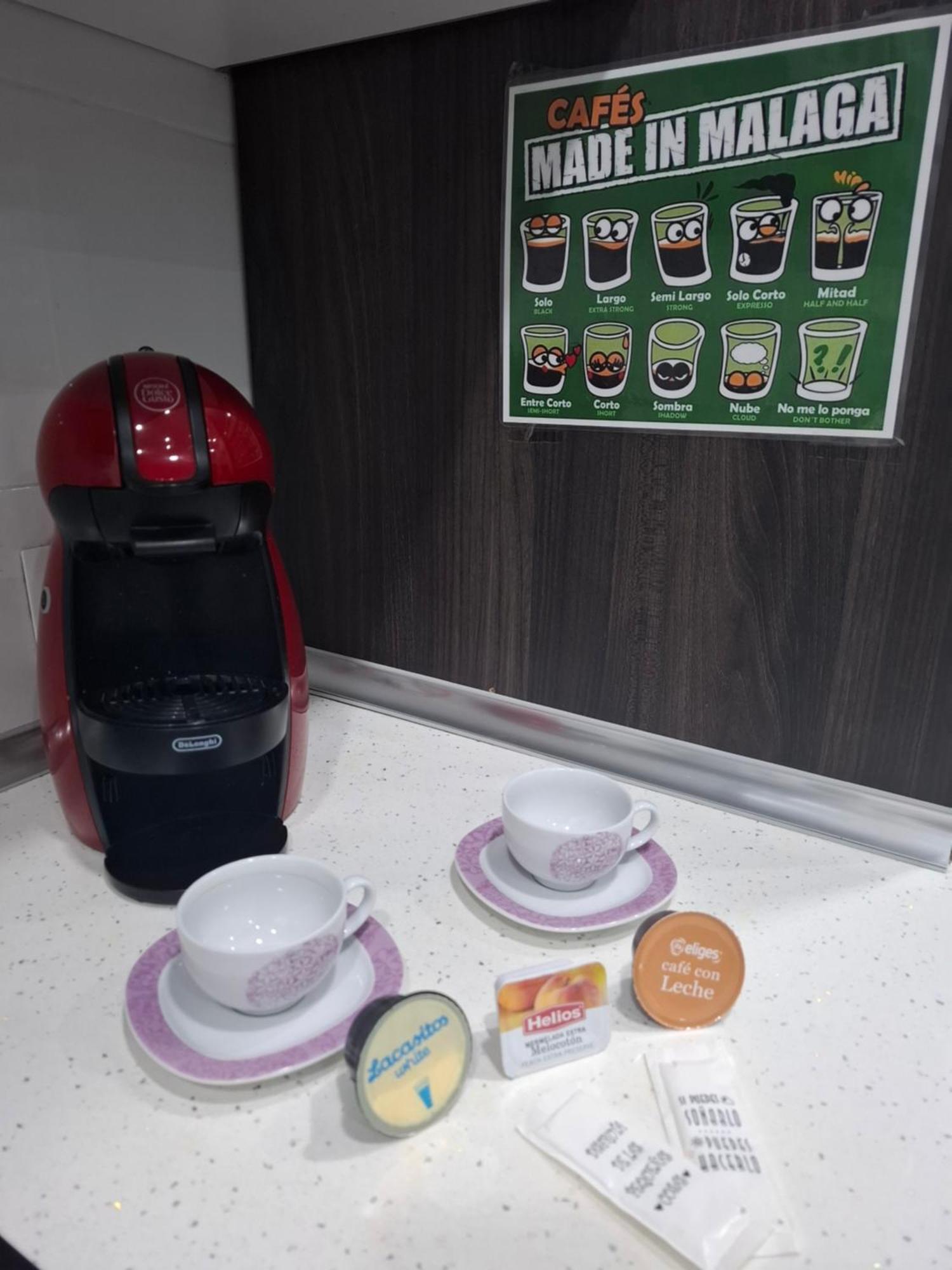 Apartament Premium La Biznaga Malaga